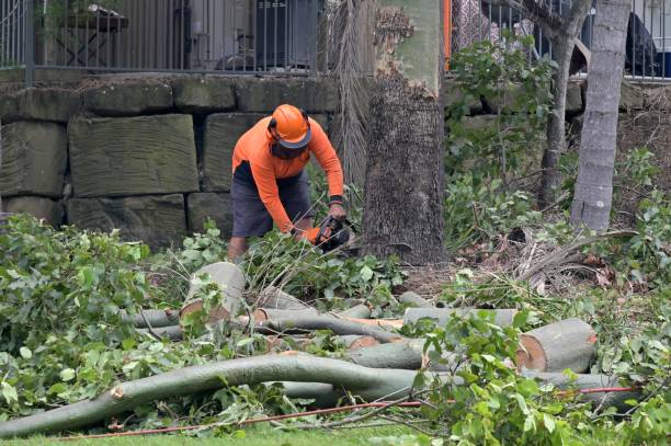 Best Commercial Tree Services  in Wakefield, VA